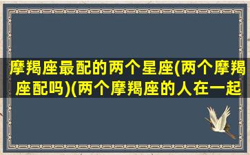 摩羯座最配的两个星座(两个摩羯座配吗)(两个摩羯座的人在一起合适吗 知乎)